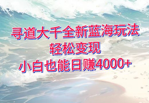 寻道大千全新蓝海玩法：轻松变现，小白也能日赚4000+_知途无界