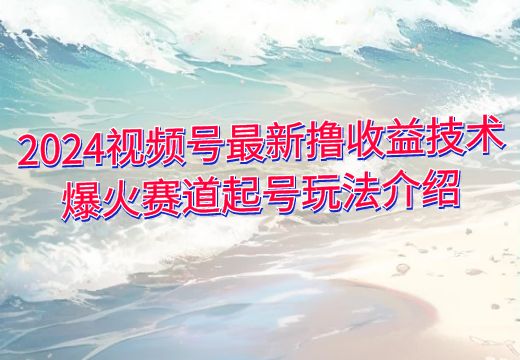 2024视频号最新撸收益技术：爆火赛道起号玩法介绍_知途无界