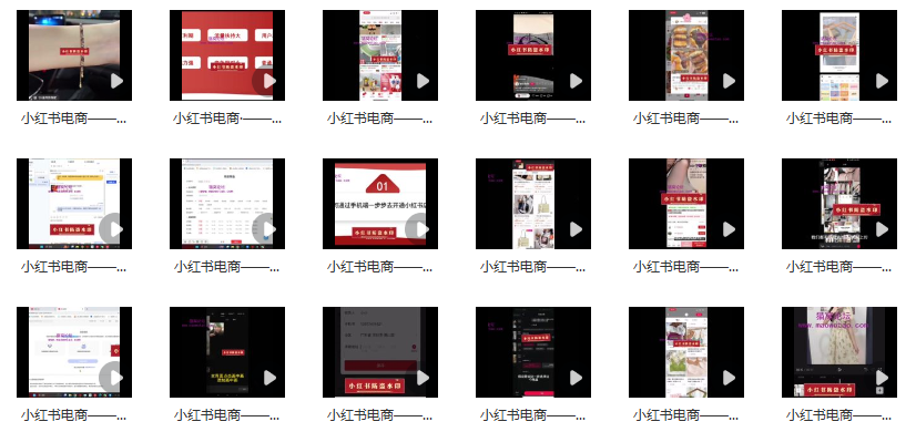 图片[2]_2024电商新趋势揭秘：小红书无货源电商实战指南，引领你首批抢占市场先机_知途无界