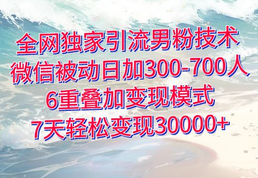 全网独家引流男粉技术 ，微信被动日加300-700人，6重叠加变现模式，7天轻松变现30000+_知途无界