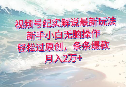 视频号纪实解说最新玩法，新手小白无脑操作，轻松过原创，条条爆款，月入2万+_知途无界