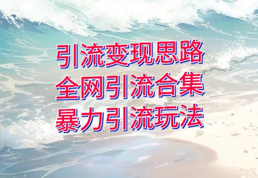 引流变现思路，全网引流合集，暴力引流玩法_知途无界