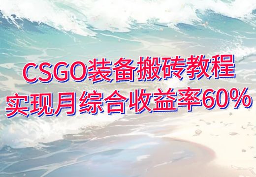 CSGO装备搬砖教程：实现月综合收益率60%_知途无界