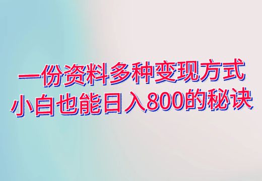 图片[2]_一份资料多种变现方式，小白也能日入800的秘诀_知途无界