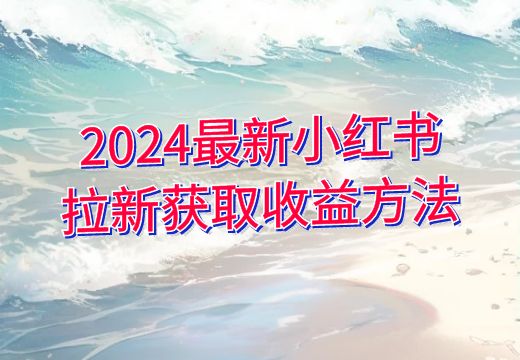 2024最新小红书拉新获取收益方法_知途无界