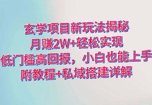 玄学项目新玩法揭秘：月赚2W+轻松实现，低门槛高回报，小白也能上手！附教程+私域搭建详解_知途无界