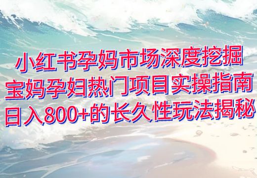 小红书孕妈市场深度挖掘：宝妈孕妇热门项目实操指南，日入800+的长久性玩法揭秘_知途无界