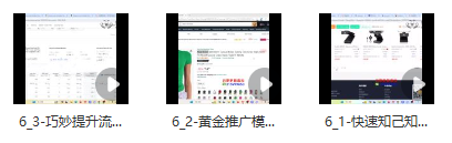 图片[2]_亚马逊大卖家新品高效推广秘籍：如何打造百万美金爆款单品_知途无界