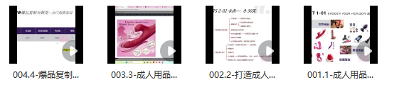 图片[2]_亚马逊成人用品爆款打造0-1入门：90天新品推广策略与步骤详解_知途无界
