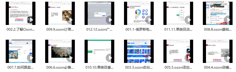 图片[2]_俄罗斯Ozon爆单实操全阶体系课学习指南_知途无界