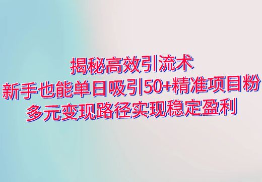 揭秘高效引流术：新手也能单日吸引50+精准项目粉，多元变现路径实现稳定盈利_知途无界