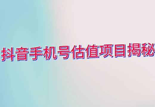 抖音手机号估值项目揭秘_知途无界