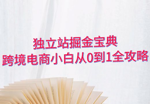 独立站掘金宝典：跨境电商小白从0到1全攻略_知途无界