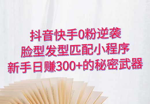 抖音快手0粉逆袭：脸型发型匹配小程序，新手日赚300+的秘密武器_知途无界