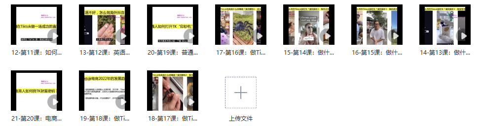 图片[2]_海外抖音TikTok创富指南：普通人如何打开TK印钞机_知途无界