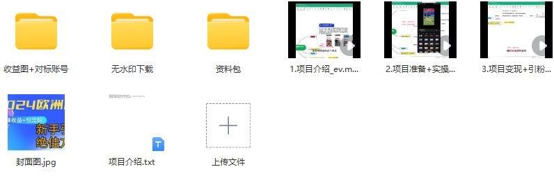 图片[2]_2024欧洲杯风口的玩法及实现收益躺赚+引流粉丝的方法_知途无界