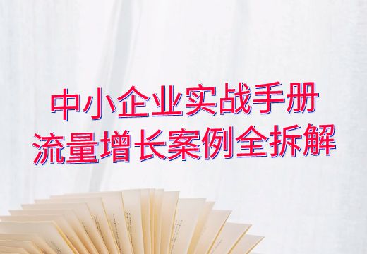 中小企业实战手册：流量增长案例全拆解_知途无界