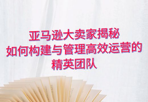 亚马逊大卖家揭秘：如何构建与管理高效运营的精英团队_知途无界