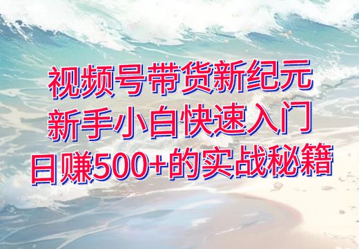 视频号带货新纪元：新手小白快速入门，日赚500+的实战秘籍_知途无界