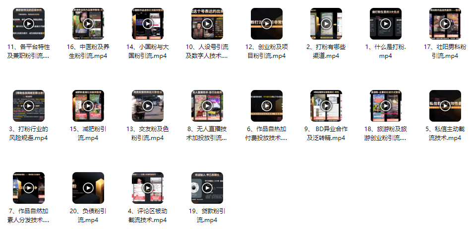 图片[2]_全网独家系统打粉秘籍：日赚3K+实战指南，跨行业引流SOP团队深度剖析_知途无界