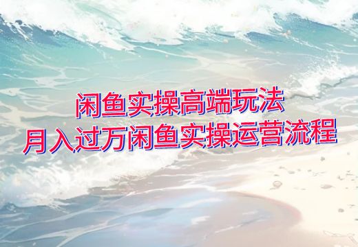 闲鱼实操高端玩法，月入过万闲鱼实操运营流程_知途无界