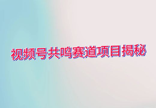 视频号共鸣赛道项目揭秘_知途无界