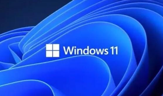 Windows 11网络连接问题解决方案：处理’非专用连接’警告_知途无界