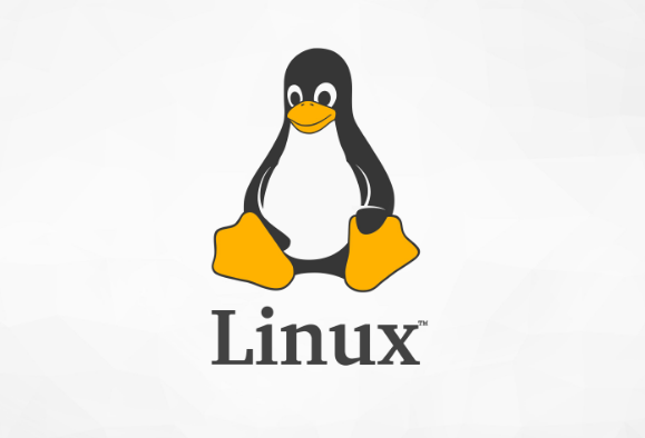 Linux系统中获取当前目录路径的详细命令指南_知途无界