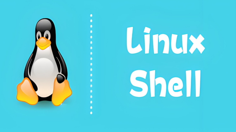 Shell脚本实现批量网络连通性检测：Ping与Telnet测试_知途无界