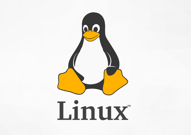 “Linux虚拟机网络不可用问题的全面排查与解决方案”_知途无界