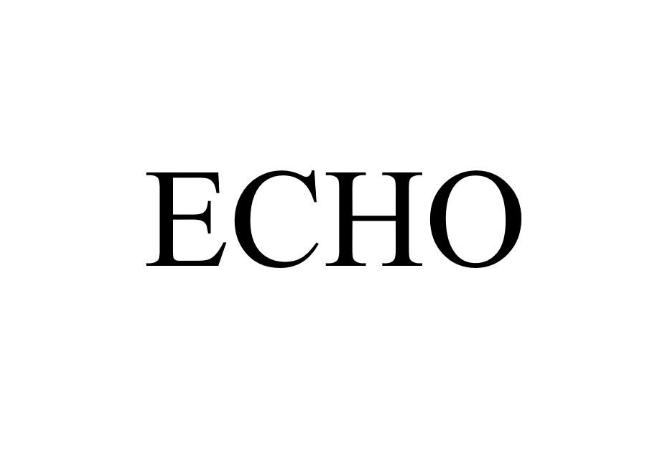 Python如何实现 HTTP echo 服务器_知途无界