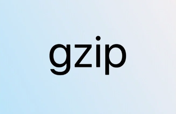 Spring Boot 3 实现 Gzip 压缩优化的技术指南_知途无界