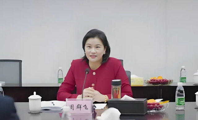 蓝思科技港股上市战略价值评估：果链巨头的转型突围战_知途无界