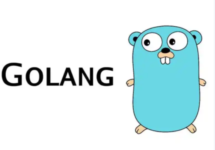 Golang 获取域名 DNS 信息的几种方法_知途无界