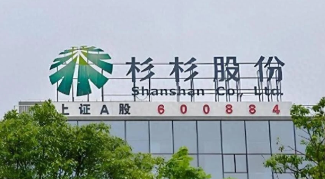 杉杉股份深度价值分析报告:从谷底到新生的战略重构_知途无界