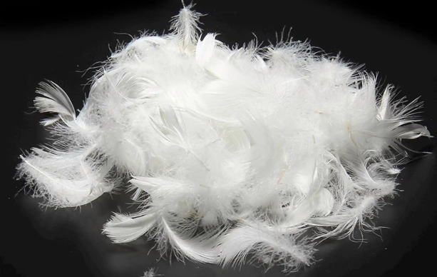 羽绒服市场变局：成本飙升下的价格分化与选购指南_知途无界