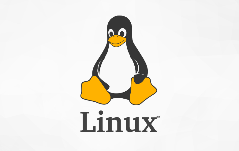 Linux之VNC工具安装及远程连接过程_知途无界