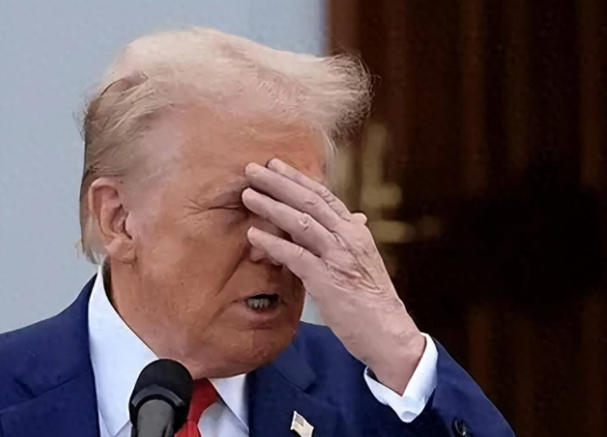 ​全球资本“去美元化”与资产配置范式转移深度解析​_知途无界