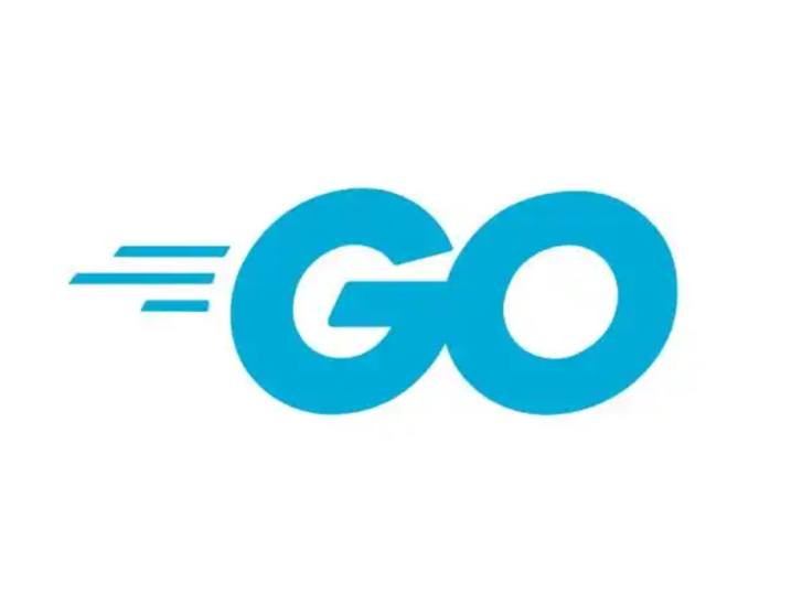 Go语言中防止敏感数据意外泄露的几种方法_知途无界